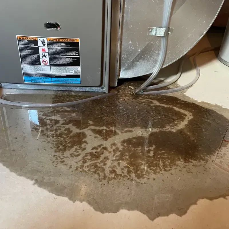 Appliance Leak Cleanup in Gardner, IL